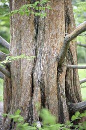 街头涂鸦精神续作《Bomb Rush Cyberfunk》延期至明年